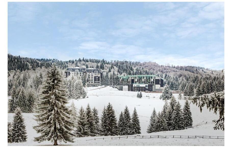 Silver Mountain, Duplex 3 - 250 Mp Luxury Garden - Poiana *