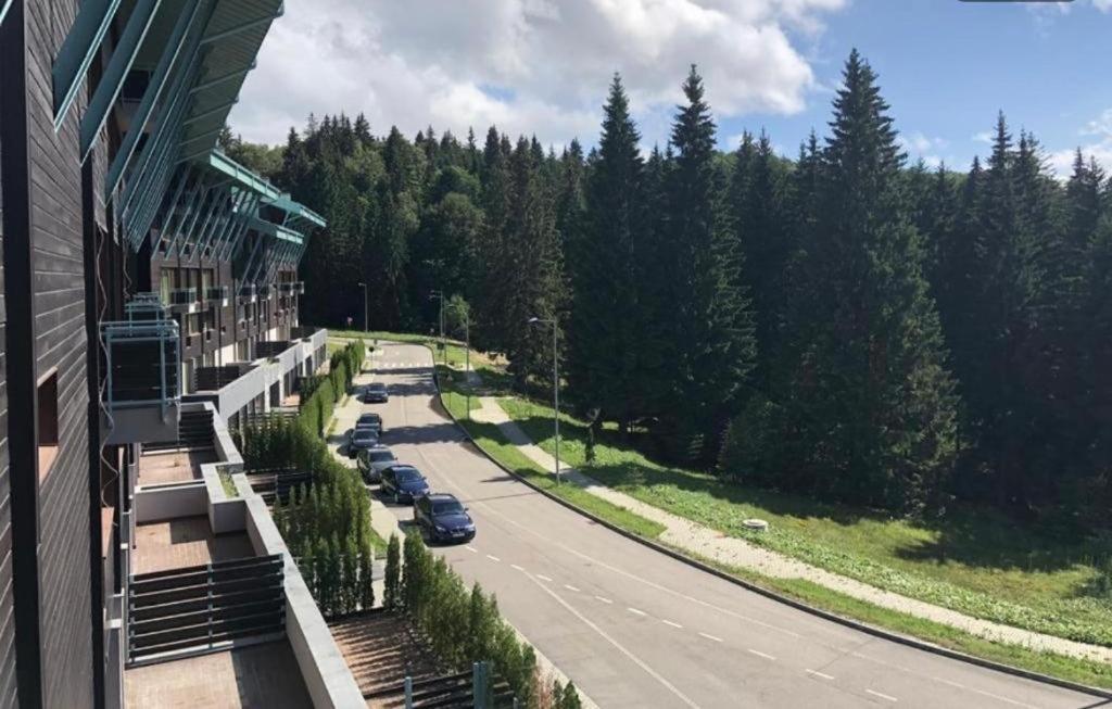 Silver Mountain, Duplex 3 - 250 Mp Luxury Garden - Poiana