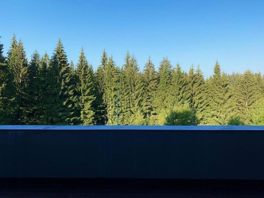 Silver Mountain, Duplex 3 - 250 Mp Luxury Garden - Poiana Apartment *
