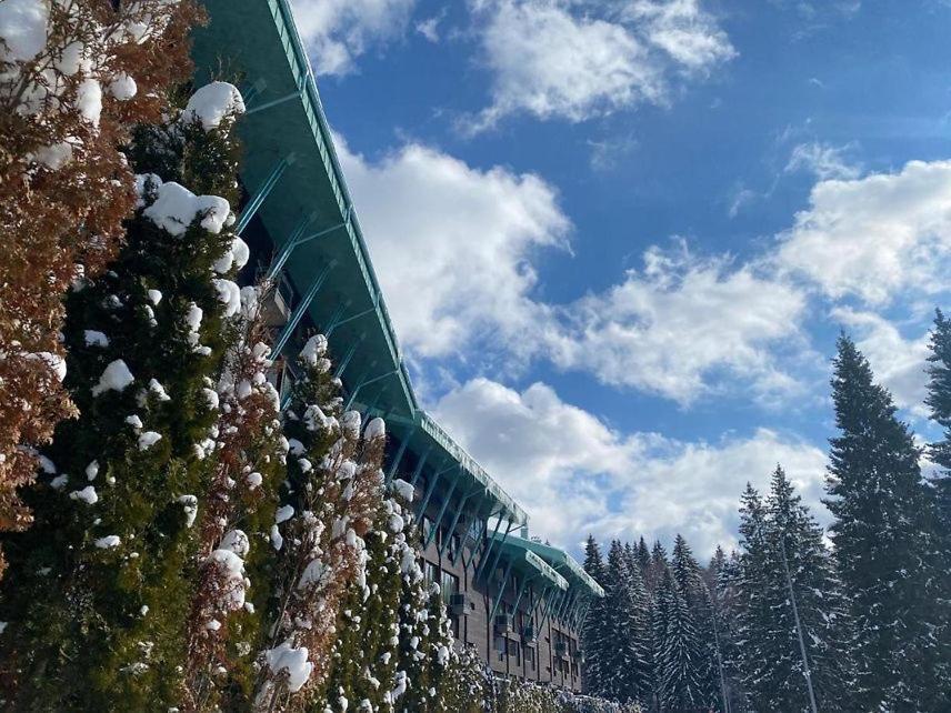 Silver Mountain, Duplex 3 - 250 Mp Luxury Garden - Poiana Brasov