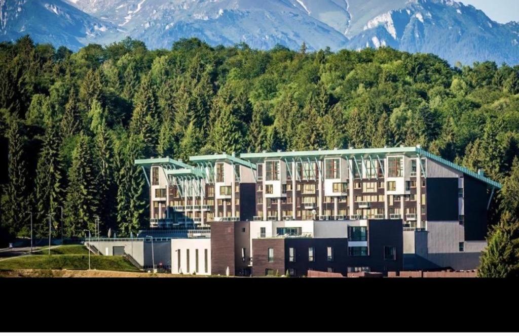 Apartment Silver Mountain, Duplex 3 - 250 Mp Luxury Garden - Poiana *